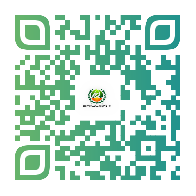 the qr code