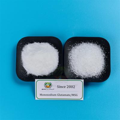 Monosodium Glutamate 100 mesh 
